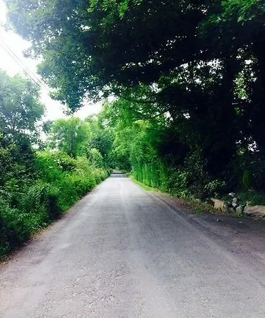 فندق مبيت وإفطار Ashgrove 3*